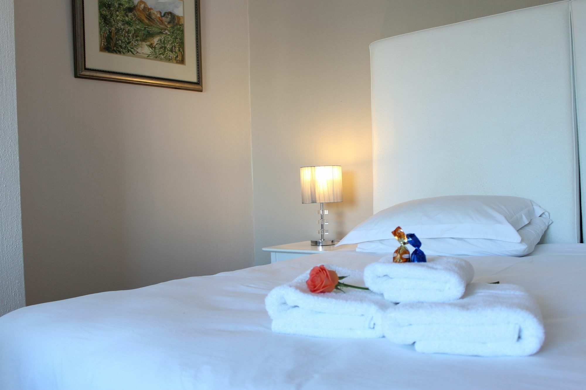 Saffron House Guesthouse Κέιπ Τάουν Εξωτερικό φωτογραφία